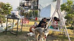 Lost Female Dog last seen G-1349 cr park , New Delhi, DL 110019