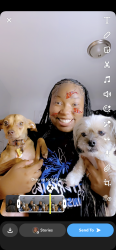 Reunited Female Dog last seen brewster rd, Birmingham, AL 35235