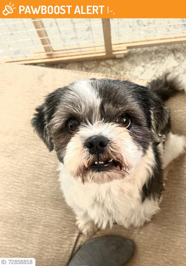Found/Stray Male Dog last seen Del City , I-40,  73110