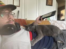 Lost Female Cat last seen Grove and Nanosemond, Richmond, VA 23221