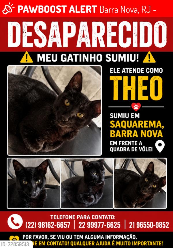 Lost Male Cat last seen Em frente a quadra de vôlei de Barra Nova , Barra Nova, RJ 28990-000