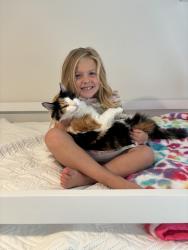 Lost Female Cat last seen Turnberry apmts, Millcreek, UT 84124
