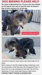 Lost Male Dog last seen Near Winding River dr 30046, Lawrenceville, GA 30046