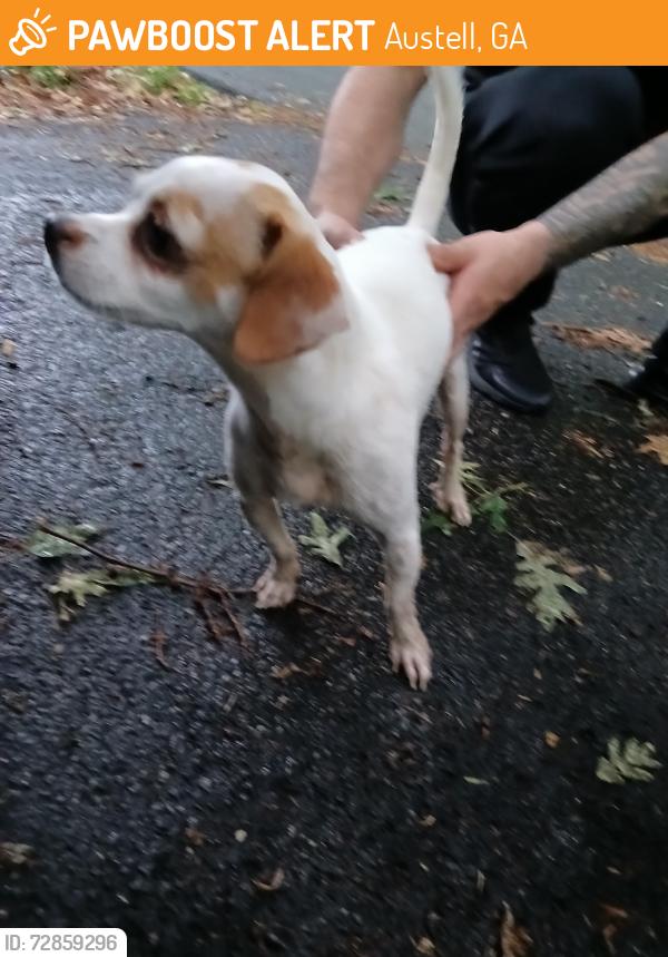 Found/Stray Female Dog last seen Thornton road, Austell, GA 30122