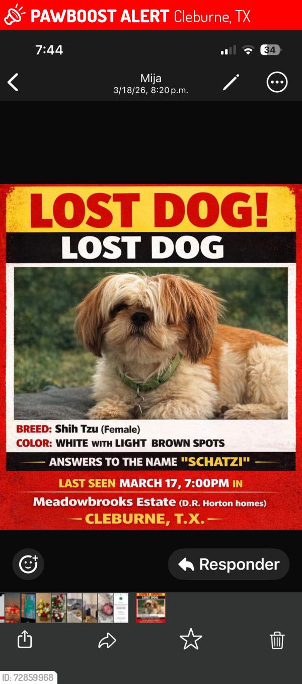 Lost Female Dog last seen Meadowbrooks, Cleburne, TX 76031