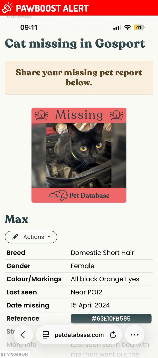 Lost Female Cat last seen PO12 3JS, Hampshire, England PO12 3JS