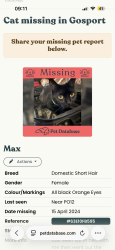 Lost Female Cat last seen PO12 3JS, Hampshire, England PO12 3JS