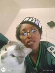Lost Female Cat last seen Evergreen way, Everett , Everett, WA 98203