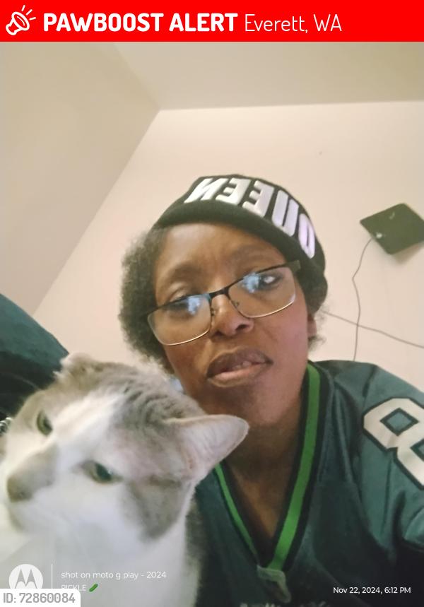 Lost Female Cat last seen Evergreen way, Everett , Everett, WA 98203