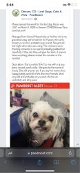 Lost Female Dog last seen 14th and Irving , Denver, CO 80204