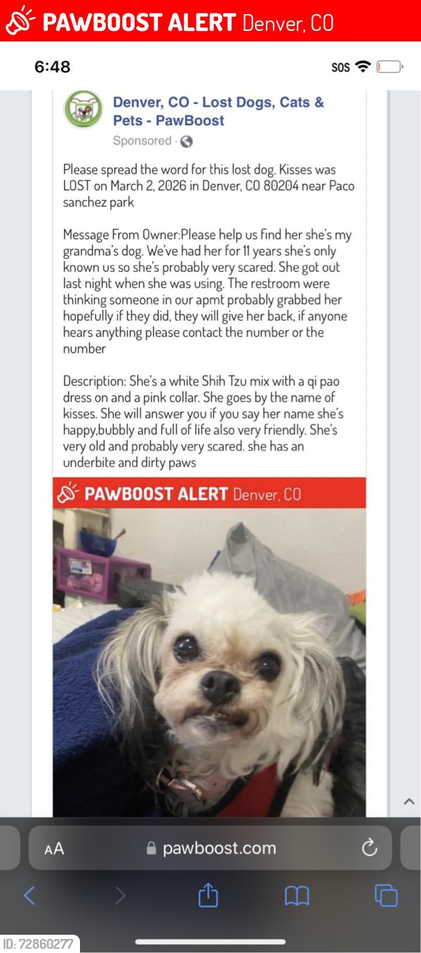 Lost Female Dog last seen 14th and Irving, Denver, CO 80204