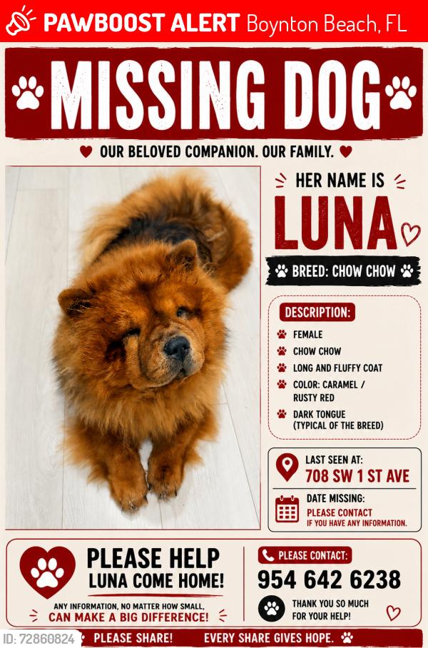 Lost Female Dog last seen Near sw 1 st ave , Boynton Beach, FL 33426
