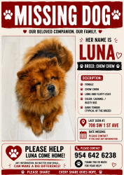 Lost Female Dog last seen Near sw 1 st ave , Boynton Beach, FL 33426