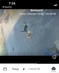 Found/Stray Unknown Dog last seen Behind my hse across from Borden Park , Kingsport, TN 37664