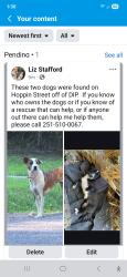 Found/Stray Female Dog last seen Rosedale & Hoppin, Mobile, AL, Mobile, AL 36605