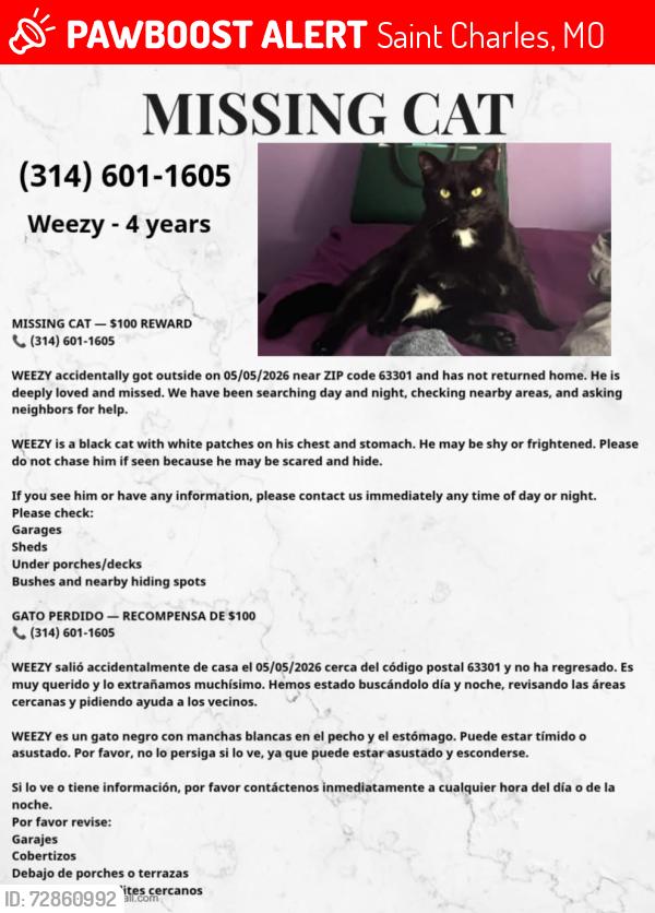 Lost Male Cat last seen Elm point industrial , Saint Charles, MO 63301