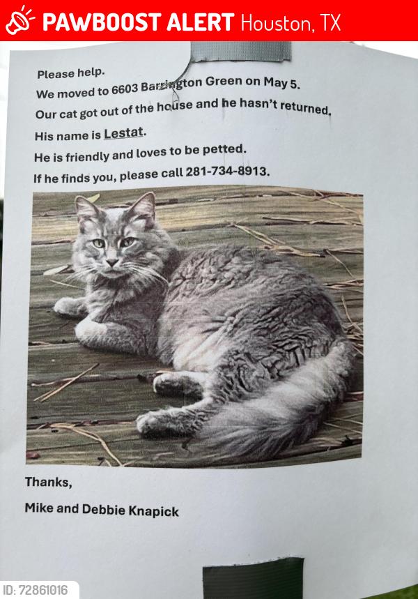 Lost Male Cat last seen Richardson road and champion dr, Houston, TX 77069