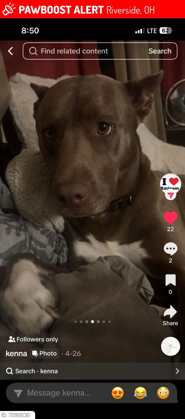 Lost Male Dog last seen harshman , Riverside, OH 45404
