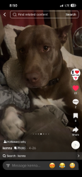 Lost Male Dog last seen harshman , Riverside, OH 45404