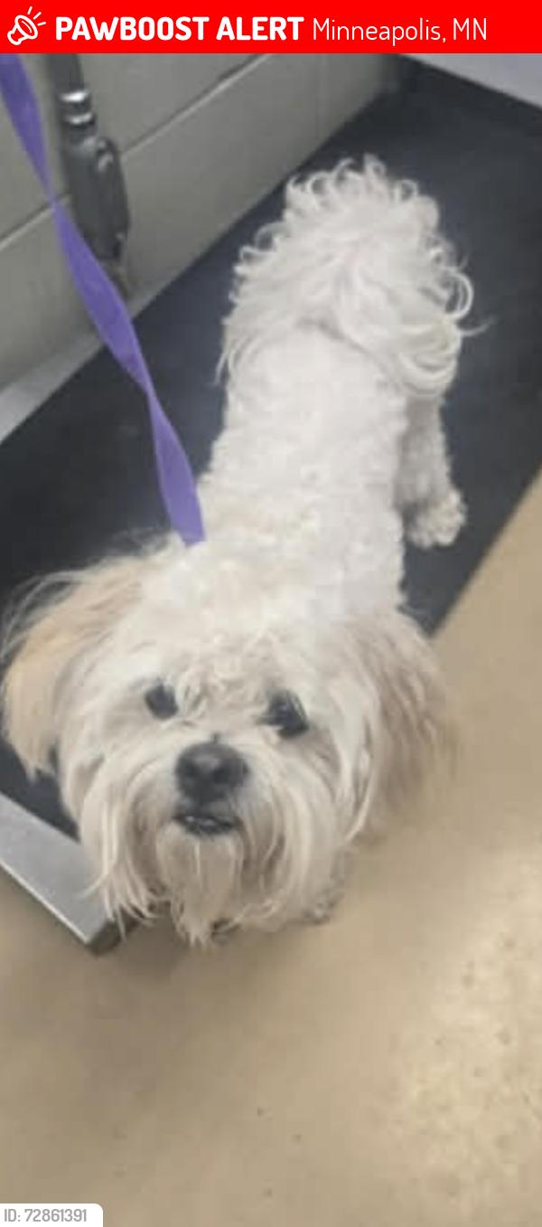 Lost Male Dog last seen 34th street , Minneapolis, MN 55407