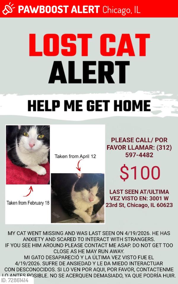 Lost Male Cat last seen Near W 23rd St, Chicago, IL 60623, Chicago, IL 60623