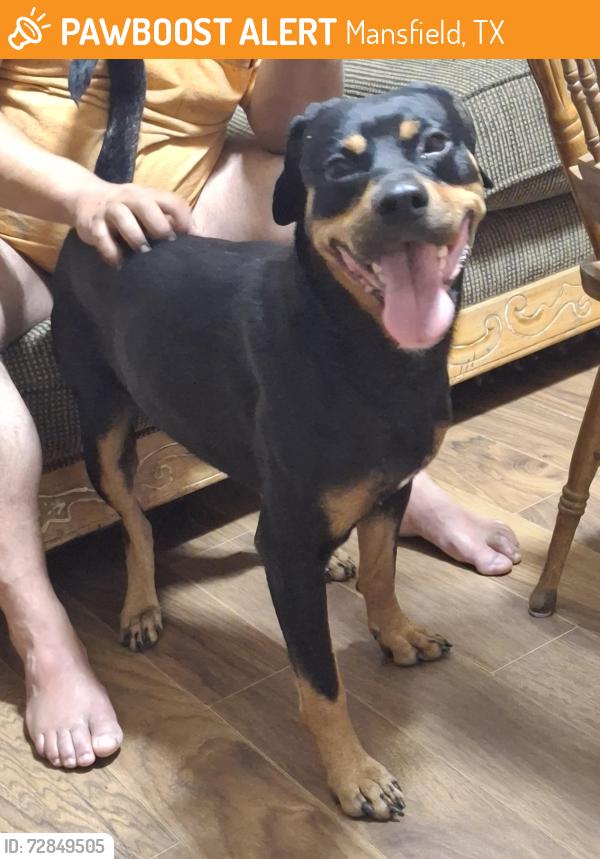 Found/Stray Male Dog last seen Eden , Mansfield, TX 76001