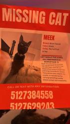 Lost Male Cat last seen Chapel Hill apmts, Georgetown, TX 78626