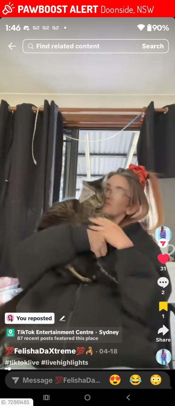Lost Male Cat last seen Omaroo Ave , Doonside, NSW 2767
