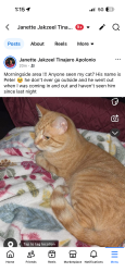 Lost Male Cat last seen east middle , Sioux City, IA 51106