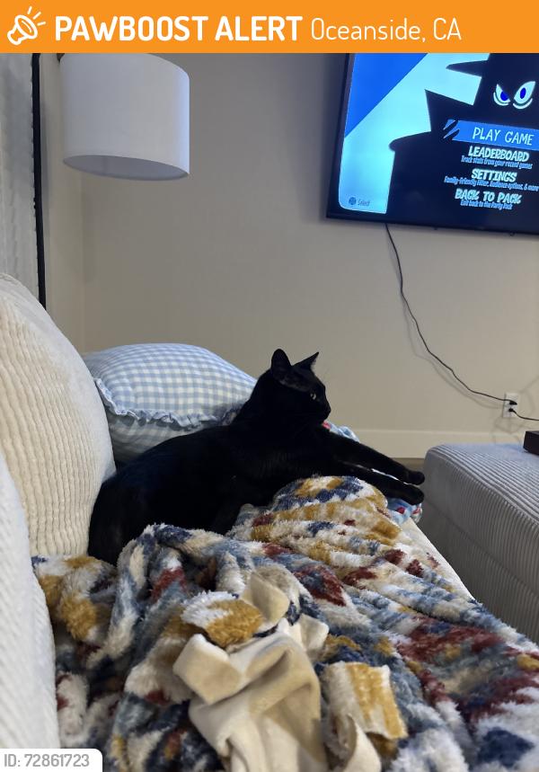 Found/Stray Male Cat last seen Lake blvd, Oceanside, CA 92056