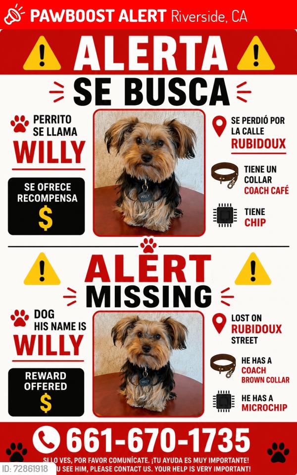 Lost Male Dog last seen Near Rubidoux blvd , Riverside, CA 92509
