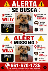 Lost Male Dog last seen Near Rubidoux blvd , Riverside, CA 92509