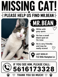 Lost Male Cat last seen Near MetroWest / Gotha area, close to Orlando, Gotha, FL 34734