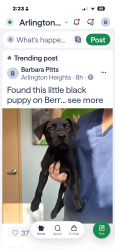 Reunited Male Dog last seen West Berry and 6 th Ave  around dental place  hair salon in little strip   Shopping area, Fort Worth, TX 76110