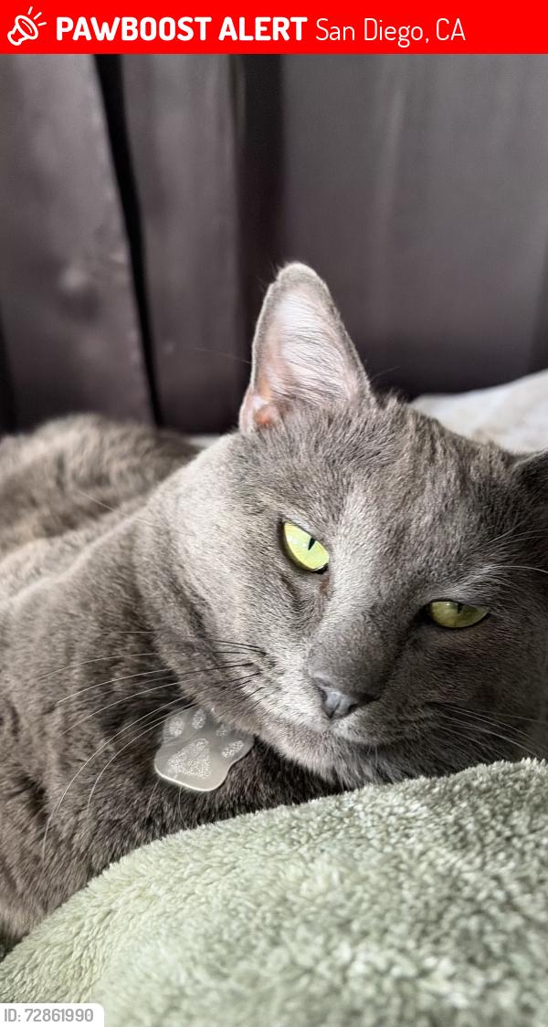 Lost Male Cat last seen     Clara Lee Ave & Fontaine St * Near Allied Gardens Recreation Center * Close to Admiral Baker Golf Course * A few minutes from Mission Valley, San Diego, CA 92120