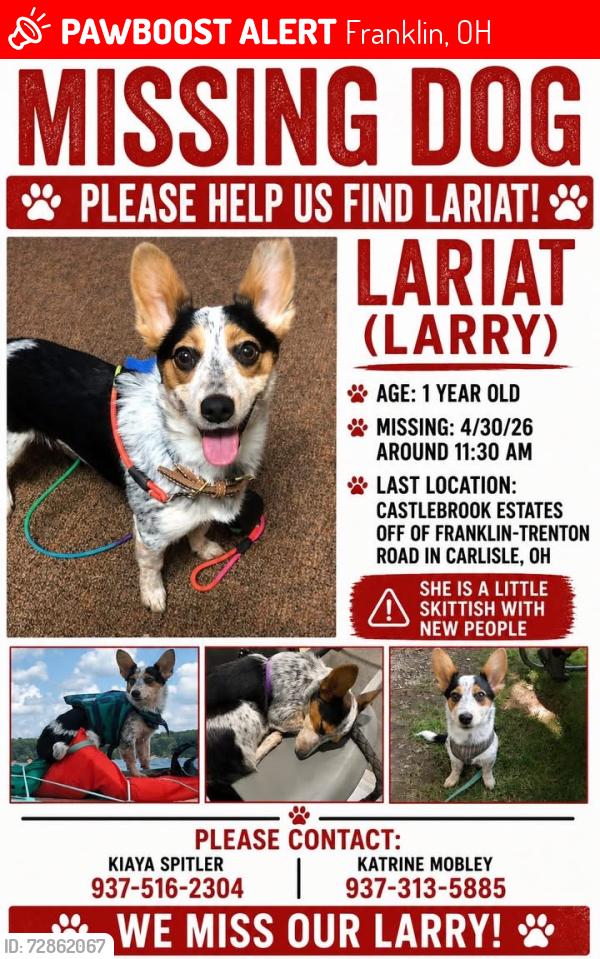 Lost Female Dog last seen Franklin Trenton , Franklin, OH 45005