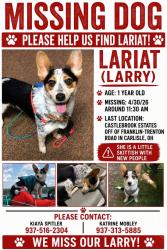 Lost Female Dog last seen Franklin Trenton , Franklin, OH 45005