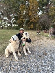 Lost Female Dog last seen Island ford road, Statesville, NC 28625