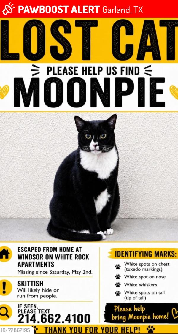 Lost Male Cat last seen Behind Sonic and VFW / Pelican Bay on White Rock Lake , Garland, TX 75040
