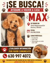 Lost Male Dog last seen Near robinwood Dr aurora , Aurora, IL 60506
