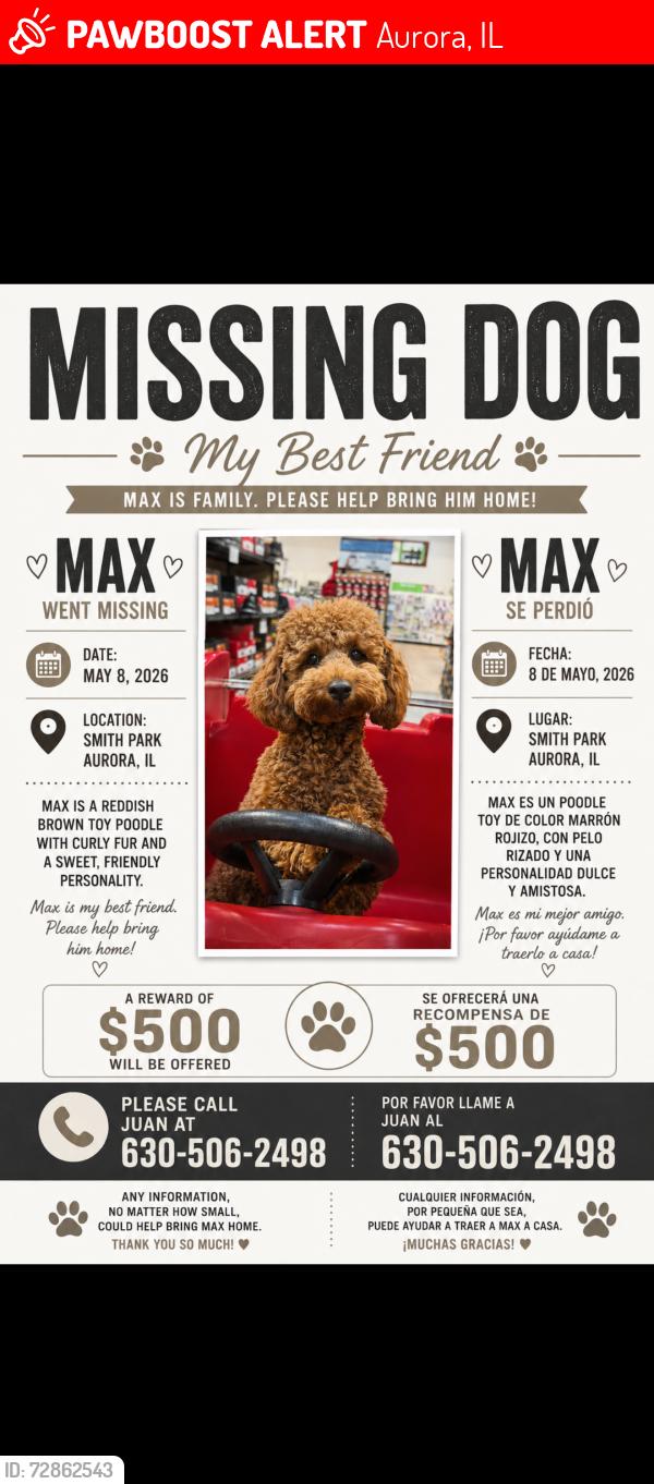 Lost Male Dog last seen Near Robinwood dr Aurora il 60440, Aurora, IL 60506