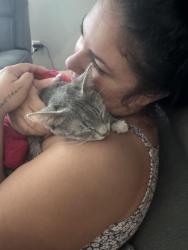 Found/Stray Female Cat last seen BP on mariner blvd , Spring Hill, FL 34609