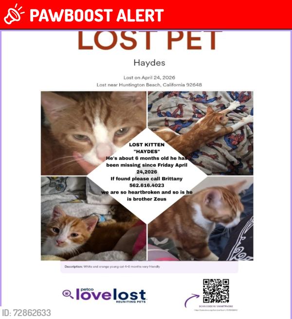 Lost Male Cat last seen Garfield and Delaware, Huntington Beach, CA 92648