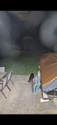 Found/Stray Unknown Dog last seen Ramblewood Farms neighborhood , Mount Laurel Township, NJ 08054