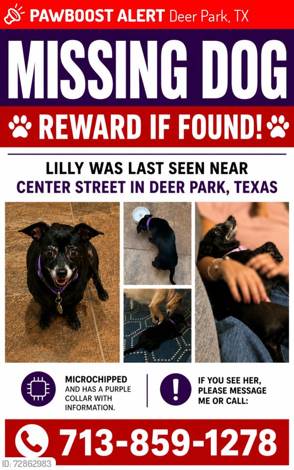 Lost Female Dog last seen Providence apmts Center St. and Pasadena Blvd., Deer Park, TX 77536