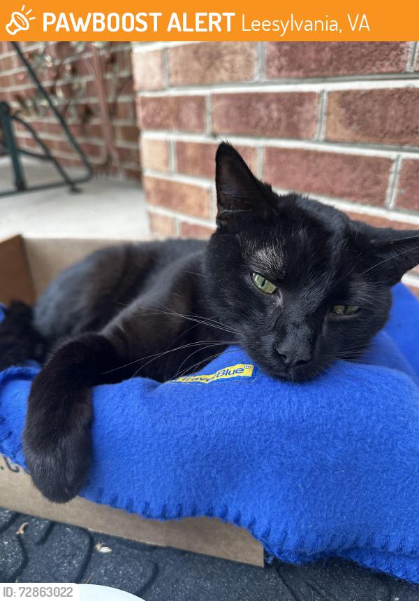 Found/Stray Male Cat last seen Compass Cir and Radburn (22191), Leesylvania, VA 22191