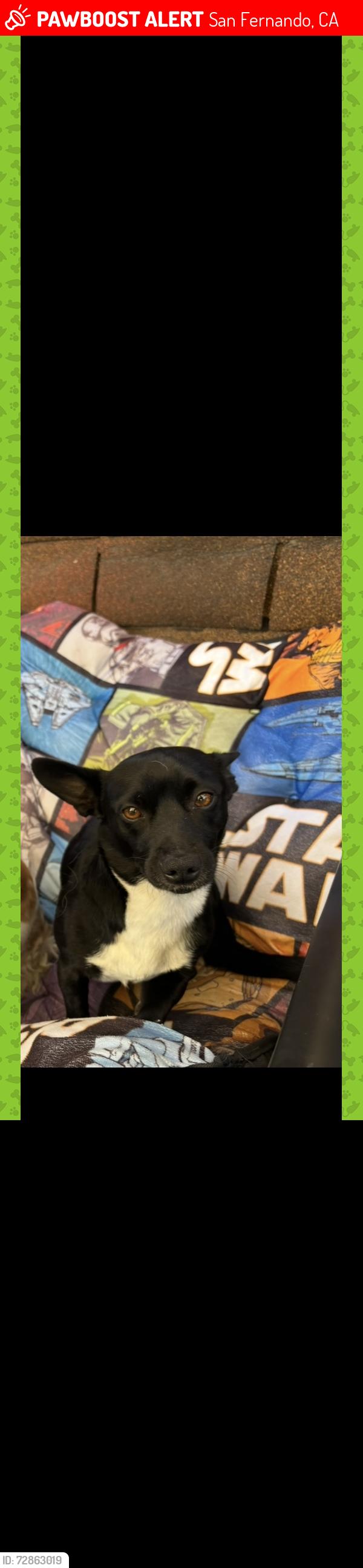 Lost Male Dog last seen La rue and Fox st, San Fernando, CA 91340