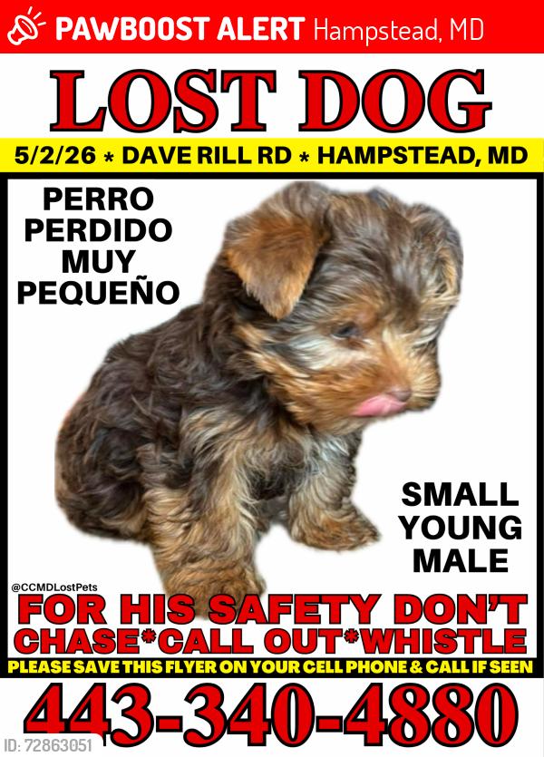 Lost Male Dog last seen Upper Beckleysville Rd, Hampstead, MD 21074