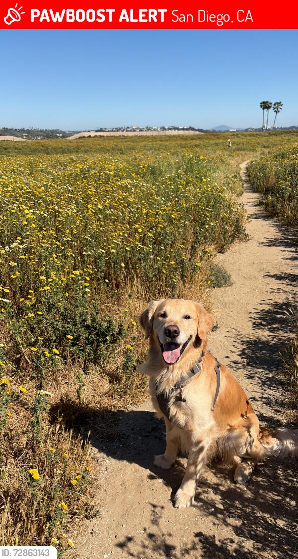 Lost Male Dog last seen Bayard Missouri , San Diego, CA 92109