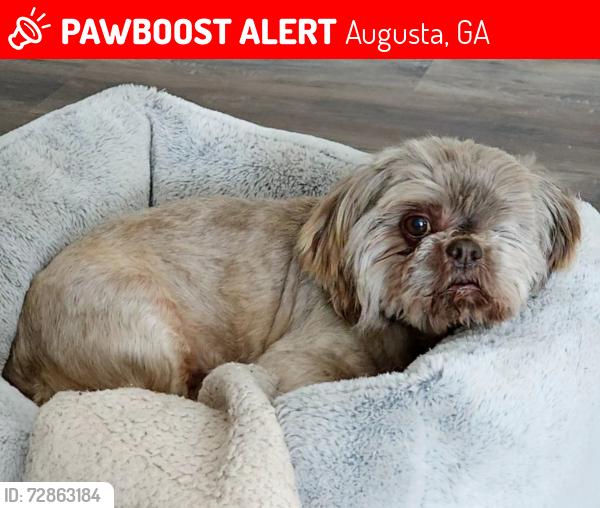 Lost Male Dog last seen Augusta Georgia Welcome Center , Augusta, GA 30904